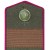Нестроевой сержантский состав. Полевые погоны.